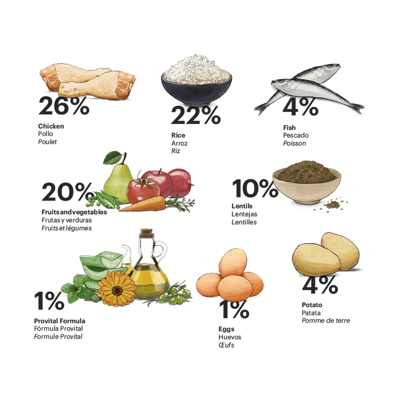 Exclusive Dog Senior Medium Chicken